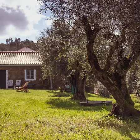 Vale Do Espinheiro Apartamento *