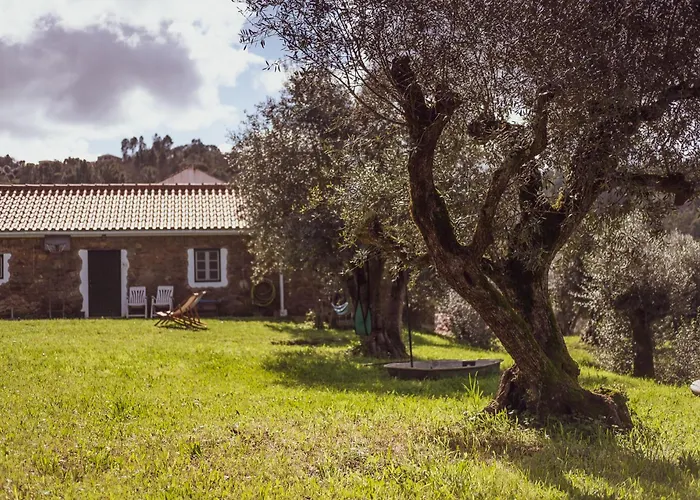 Vale Do Espinheiro Appartement *